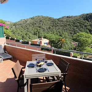 Apartment Penthouse